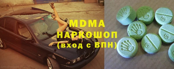 гашик Ельня