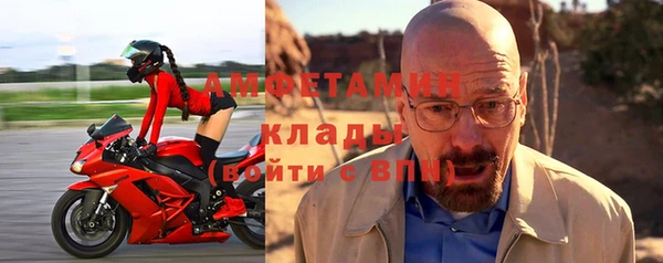 гашик Ельня