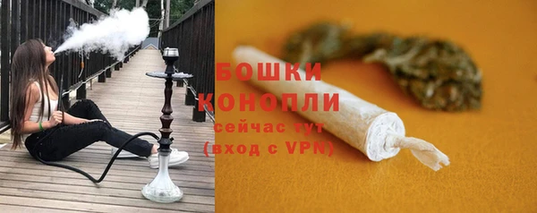 гашик Ельня