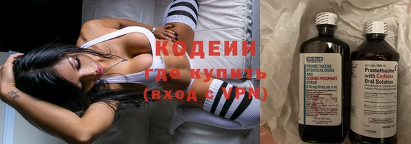 гашик Ельня