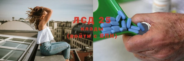 гашик Ельня