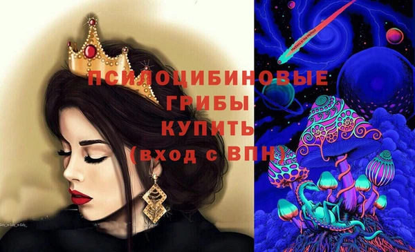 гашик Ельня