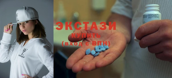 гашик Ельня