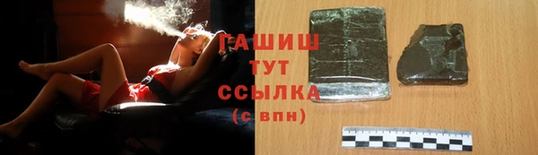 гашик Ельня