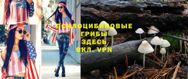 гашик Ельня