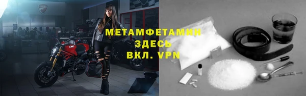 гашик Ельня