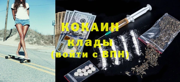 гашик Ельня
