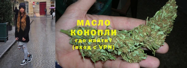 гашик Ельня