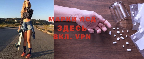 гашик Ельня