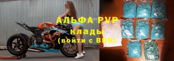 ECSTASY Данков