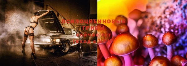 синтетический гашиш Елизово